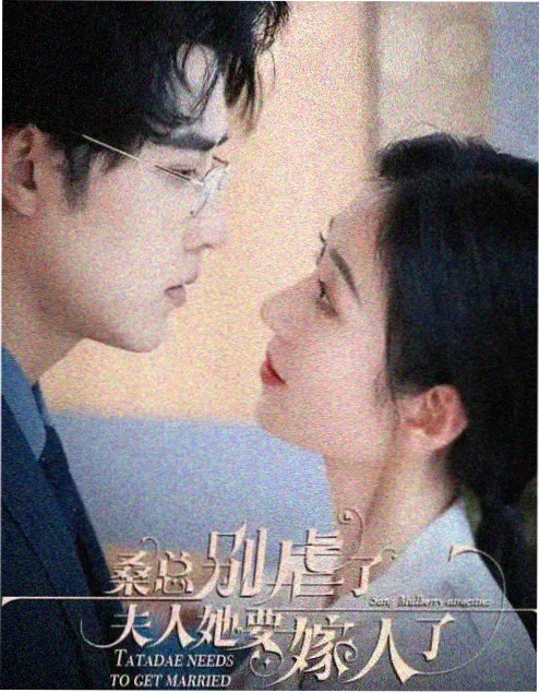双面档案 免费观看电视剧无广告